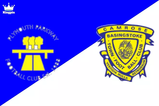 Plymouth Parkway vs Basingstoke Town: Non League Premier Picks August 10, 2024