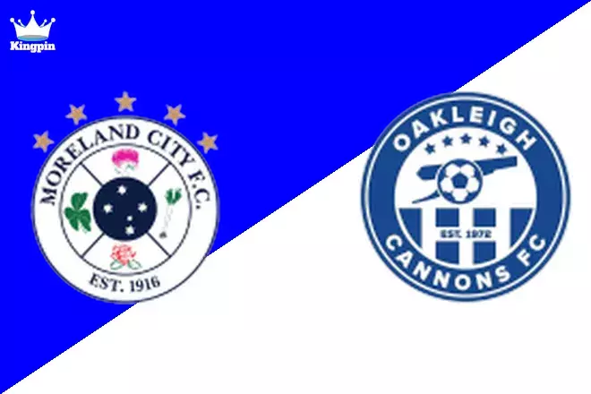 Moreland City vs Oakleigh Cannons: Victoria NPL Totals Picks August 10, 2024