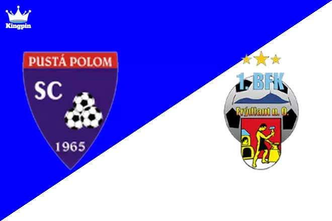 Pustá Polom vs Frýdlant: 4. liga - Divizie F Moneyline Prediction 8/24
